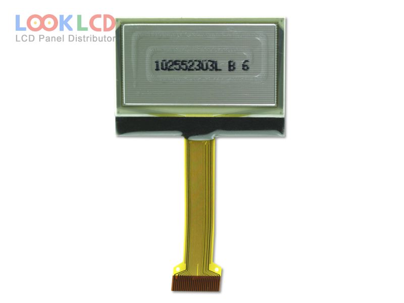 RGS16128064YR000