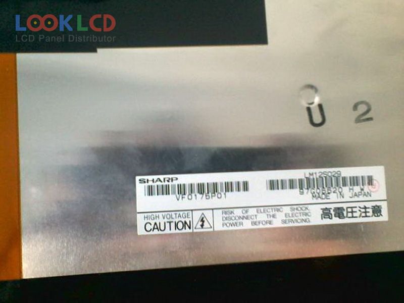 LM12S029